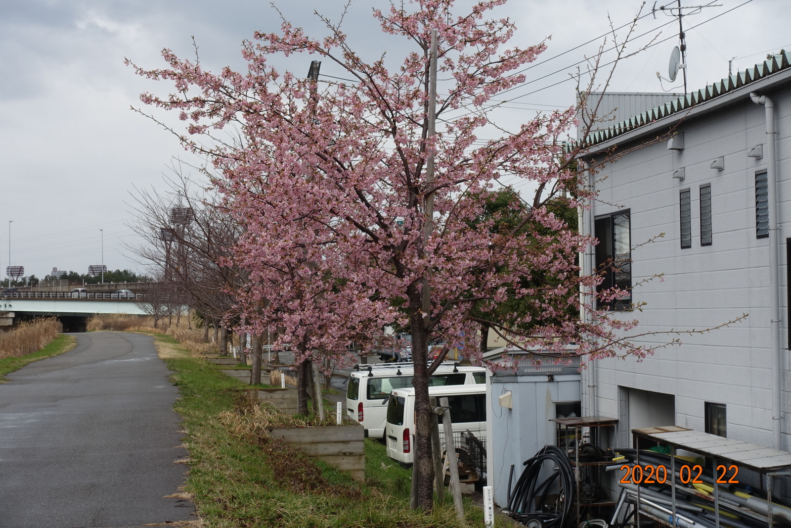 f:id:k10no3:20200222102519j:plain