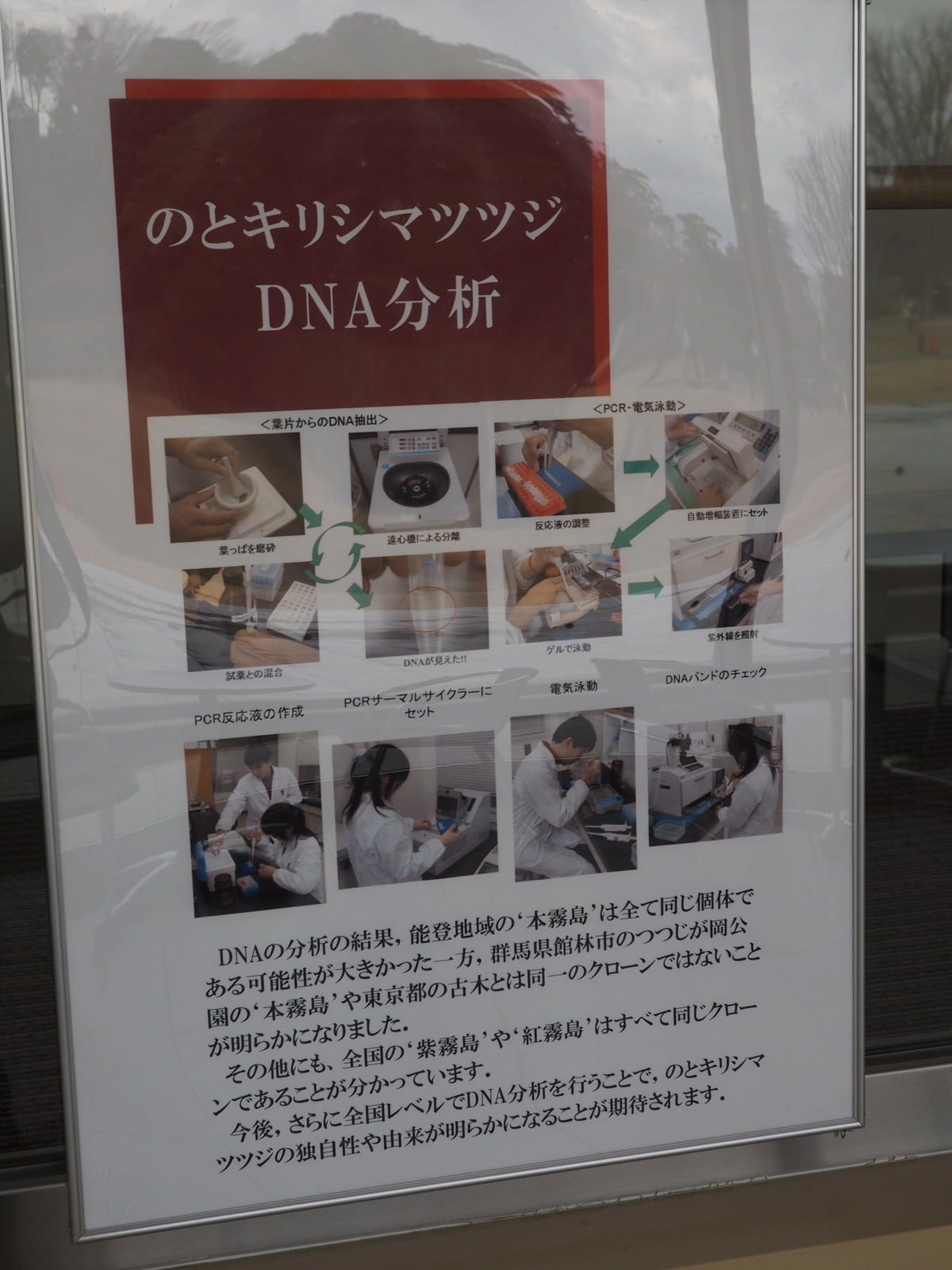 f:id:k10no3:20200320103415j:plain