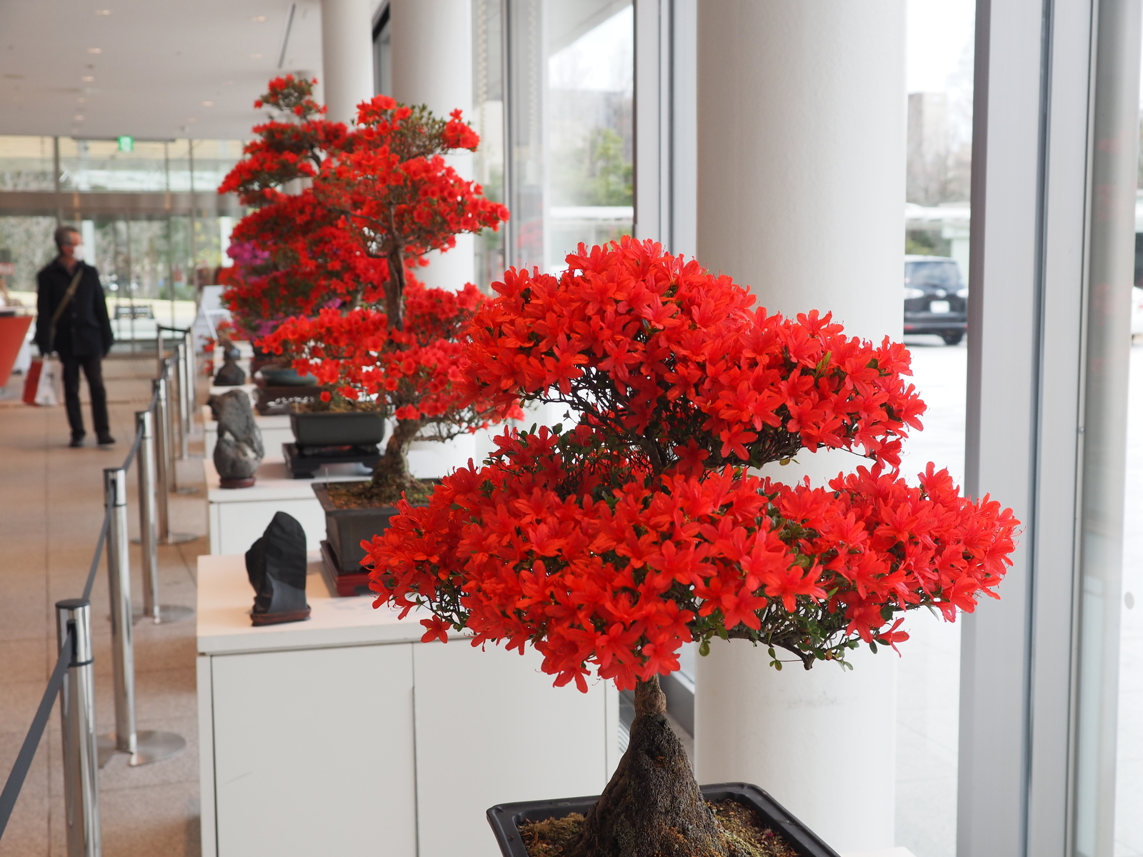 f:id:k10no3:20200320103617j:plain