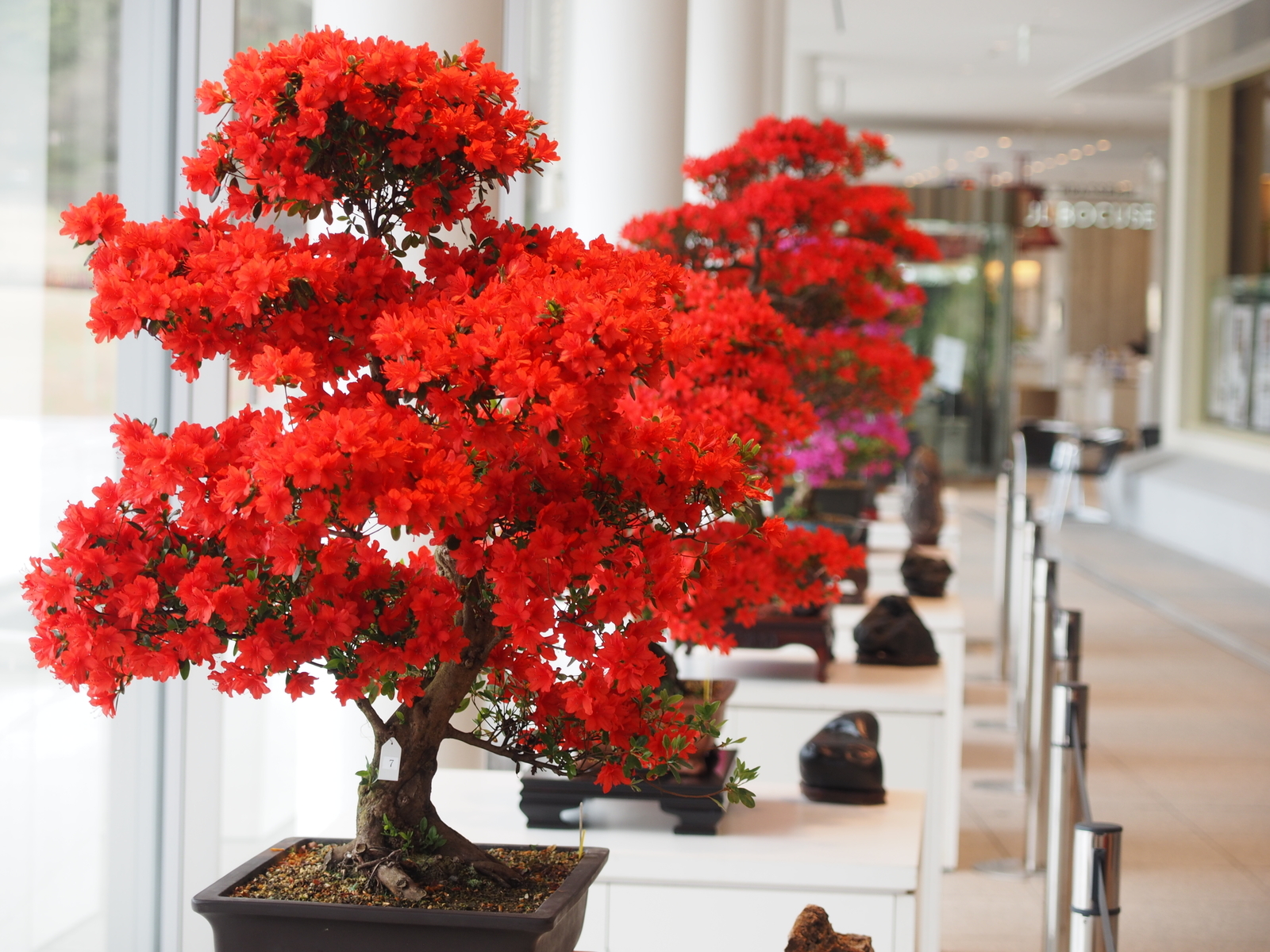 f:id:k10no3:20200320105052j:plain