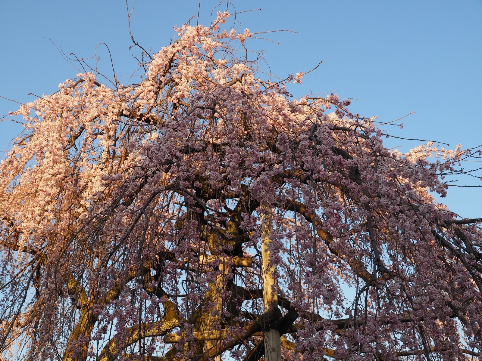 f:id:k10no3:20200326063621j:plain