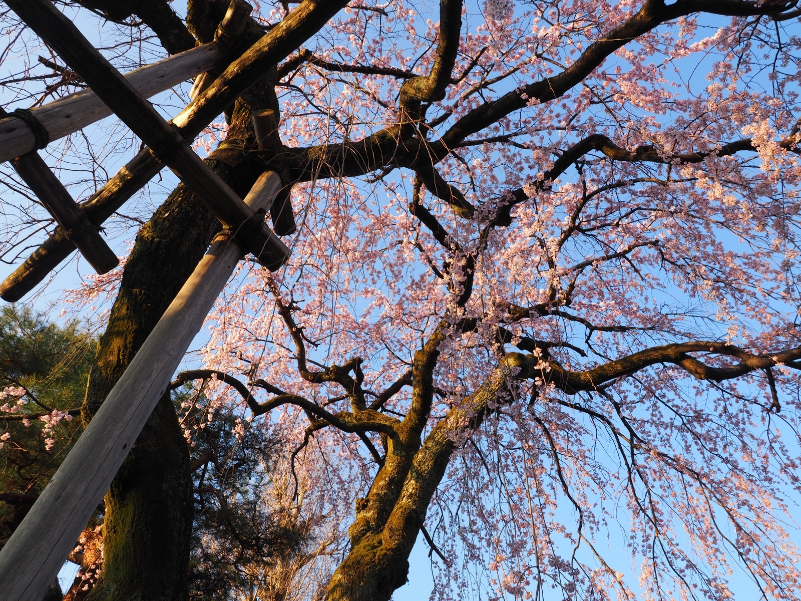 f:id:k10no3:20200326063700j:plain