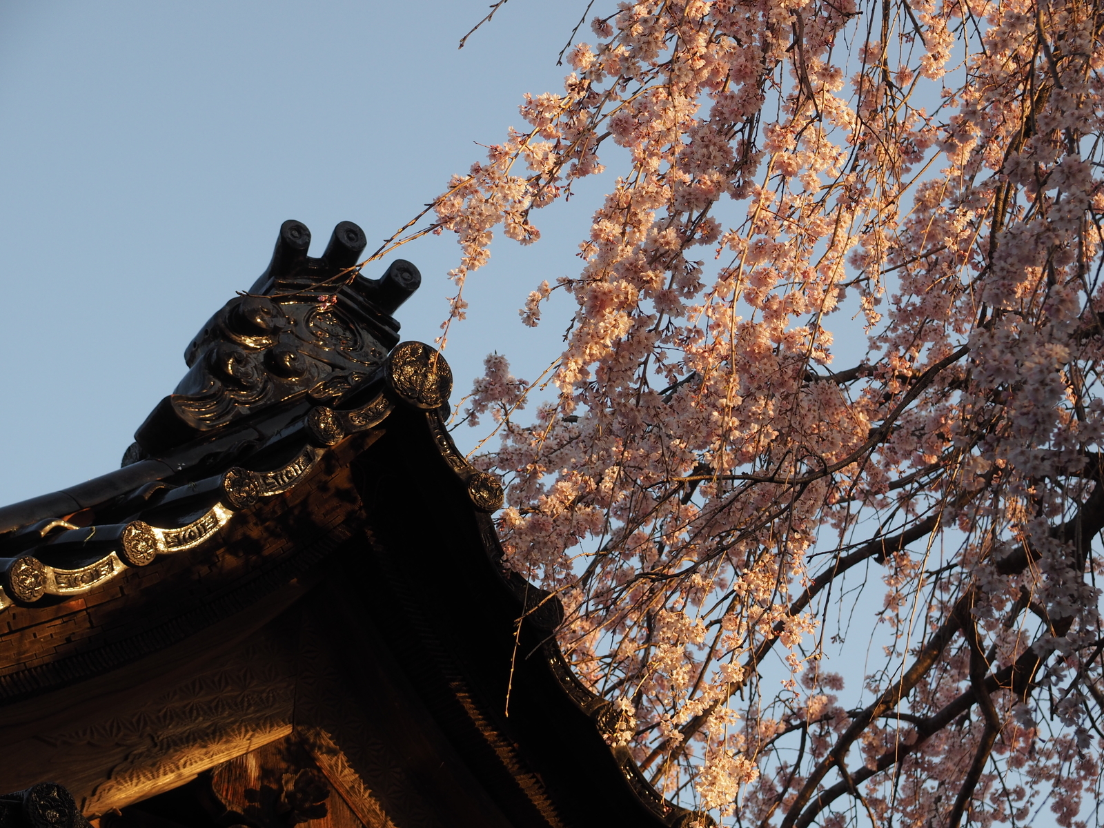 f:id:k10no3:20200326063808j:plain