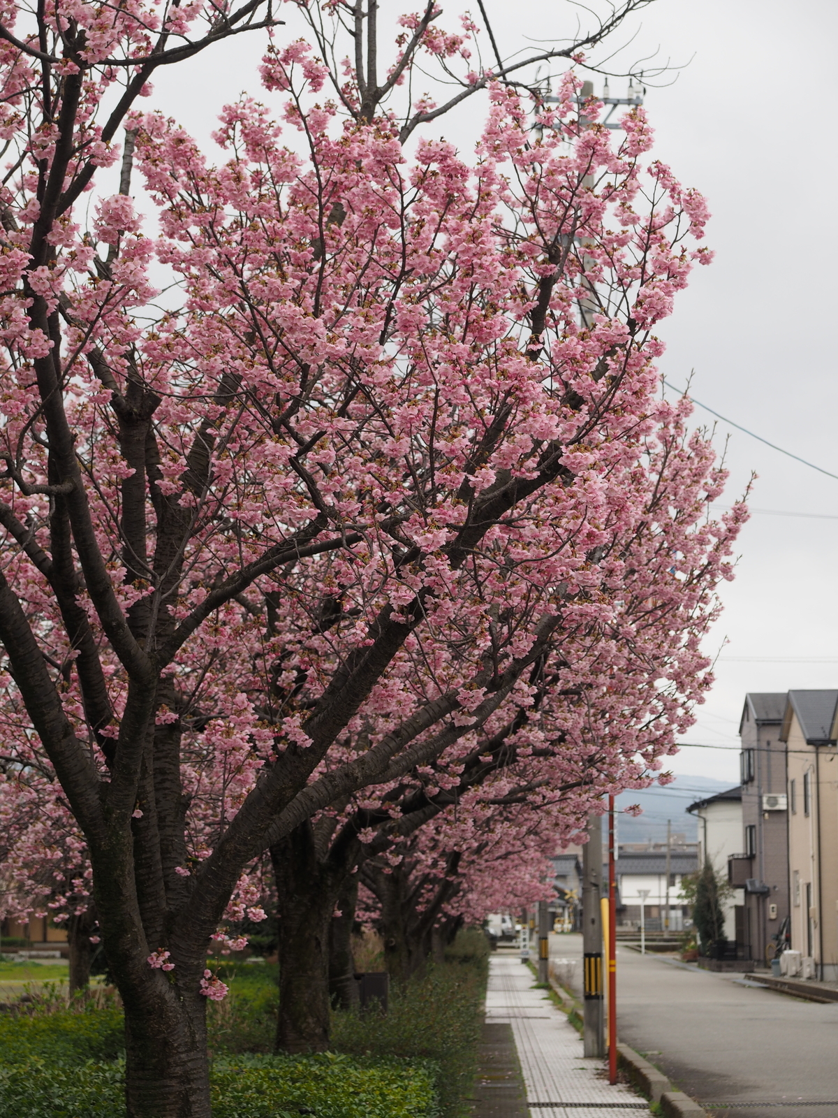 f:id:k10no3:20200328120235j:plain