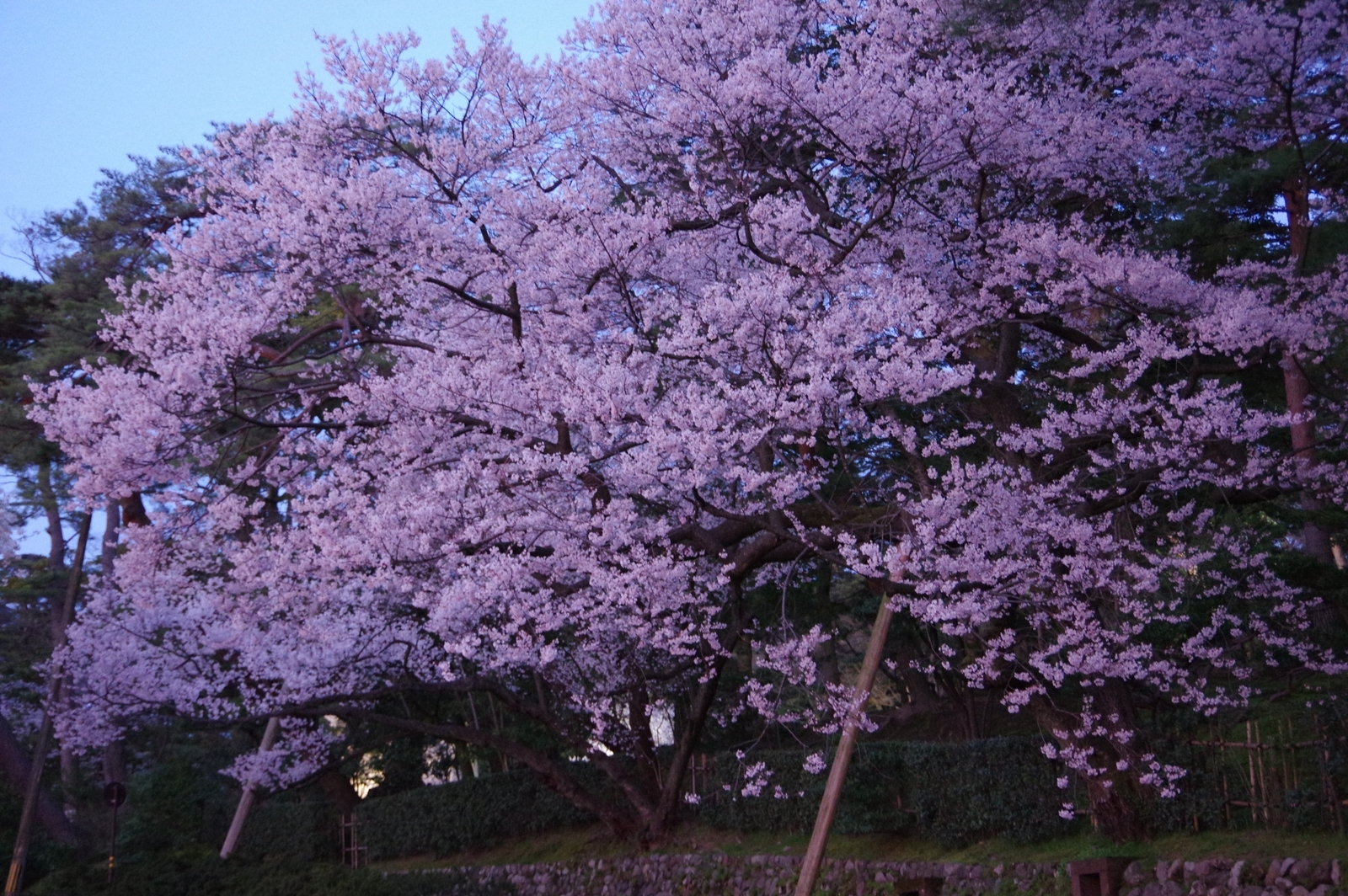 f:id:k10no3:20200403183216j:plain
