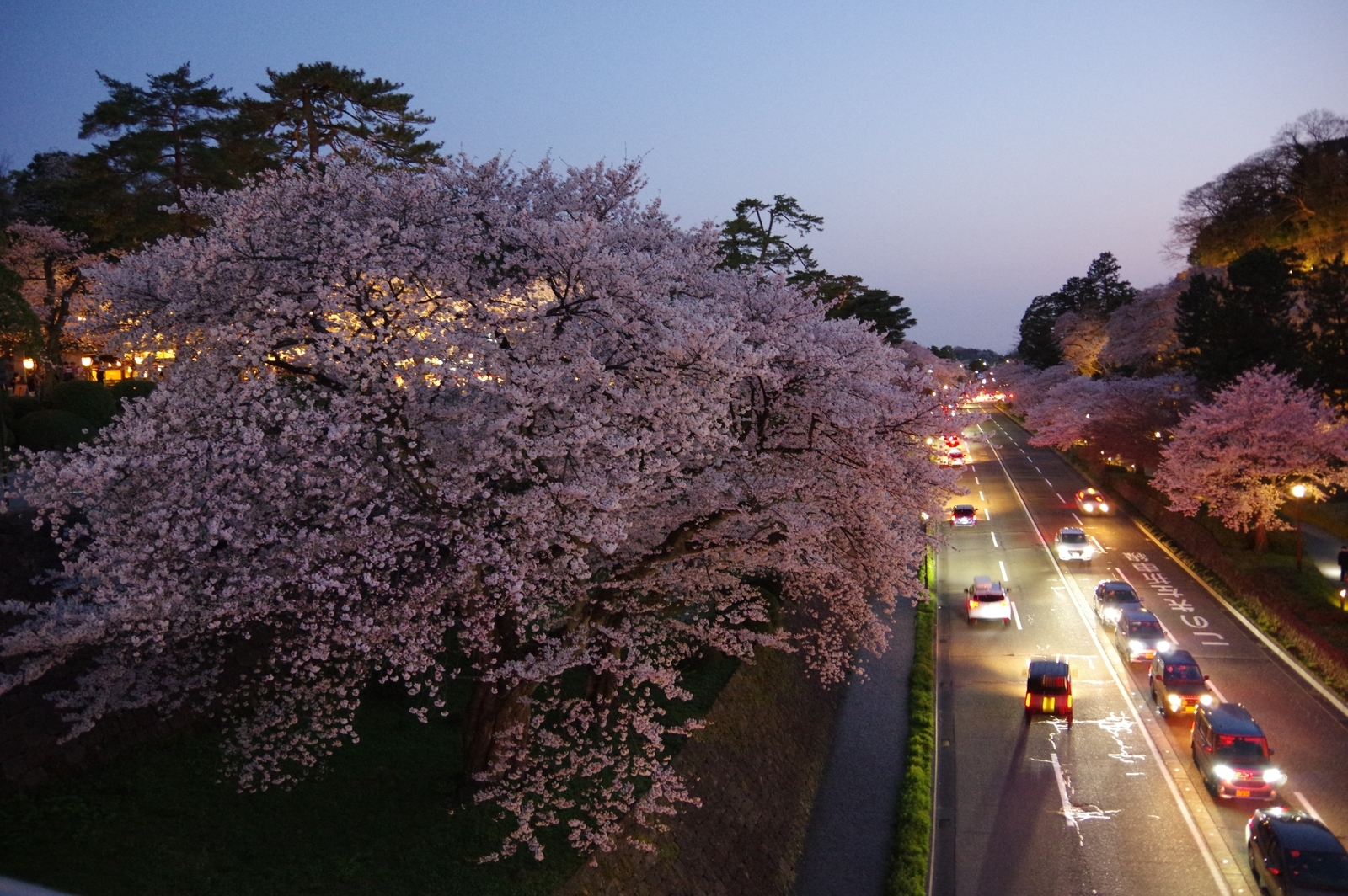 f:id:k10no3:20200403183842j:plain