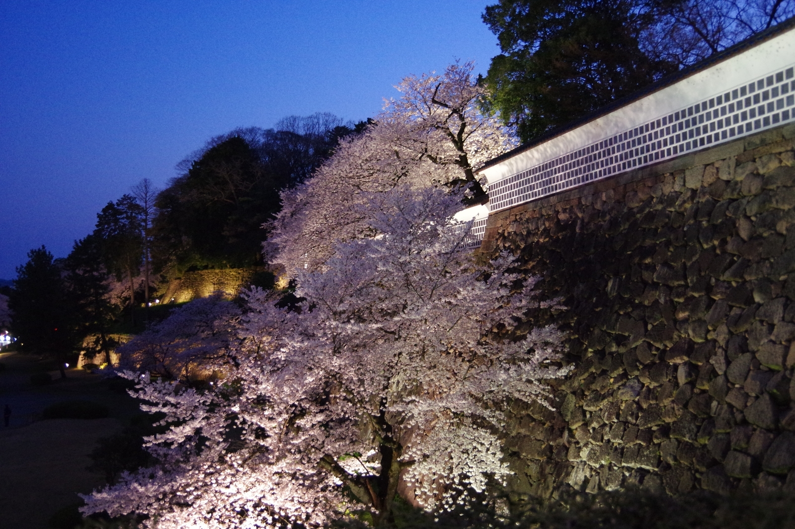 f:id:k10no3:20200403184021j:plain