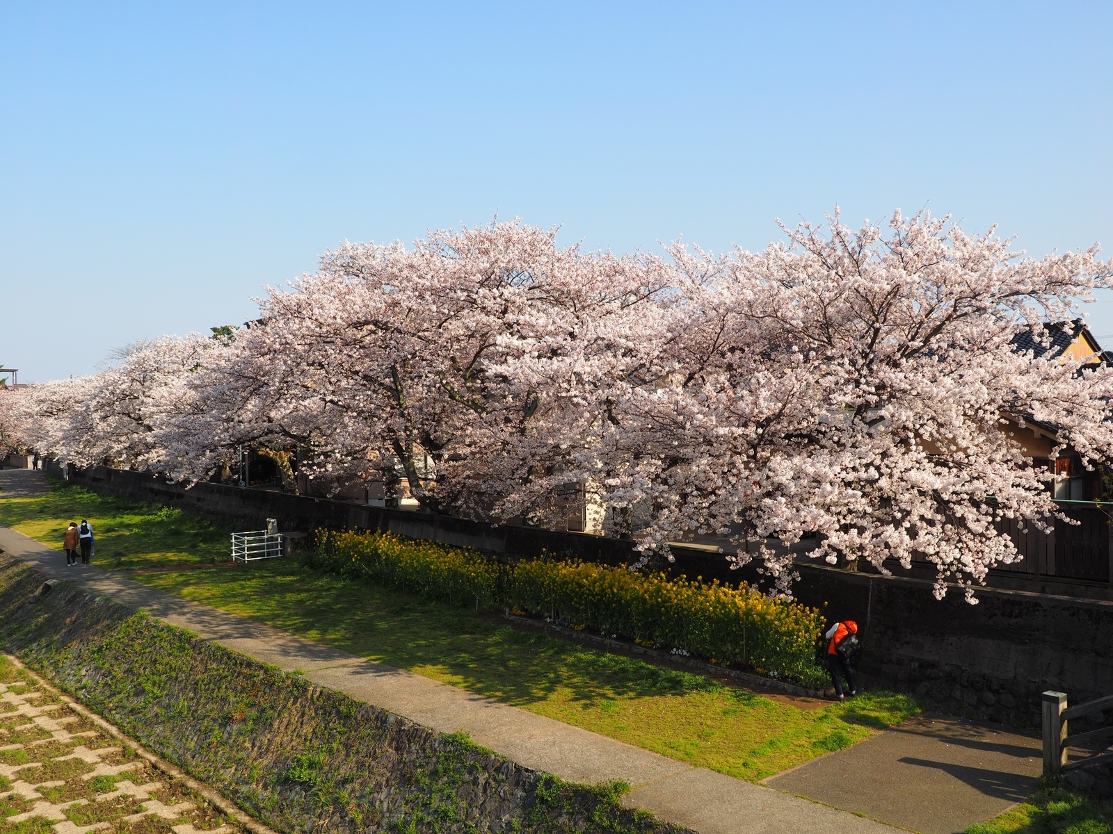 f:id:k10no3:20200404081326j:plain