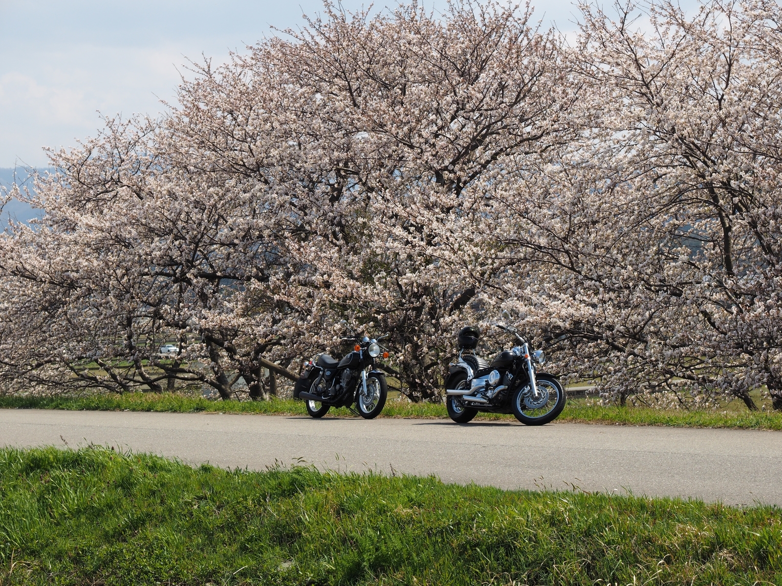 f:id:k10no3:20200404122346j:plain