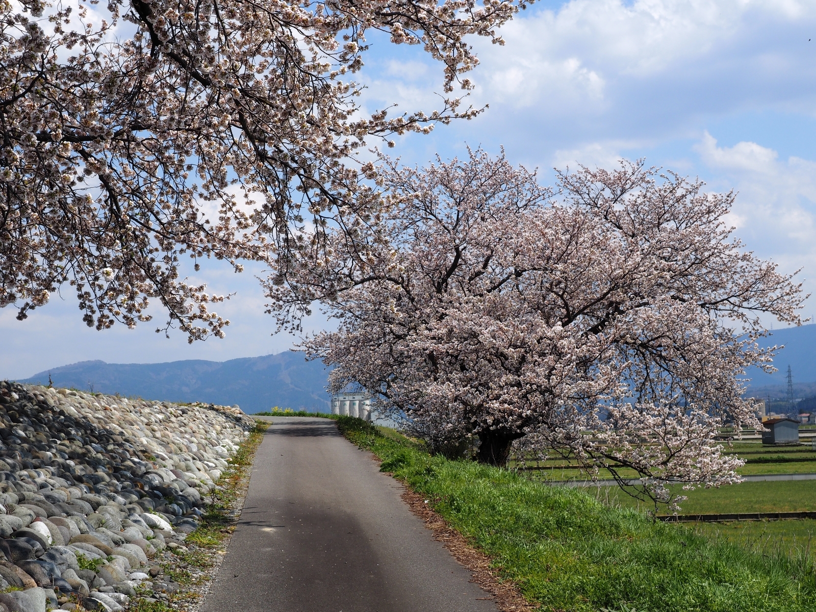 f:id:k10no3:20200404123312j:plain