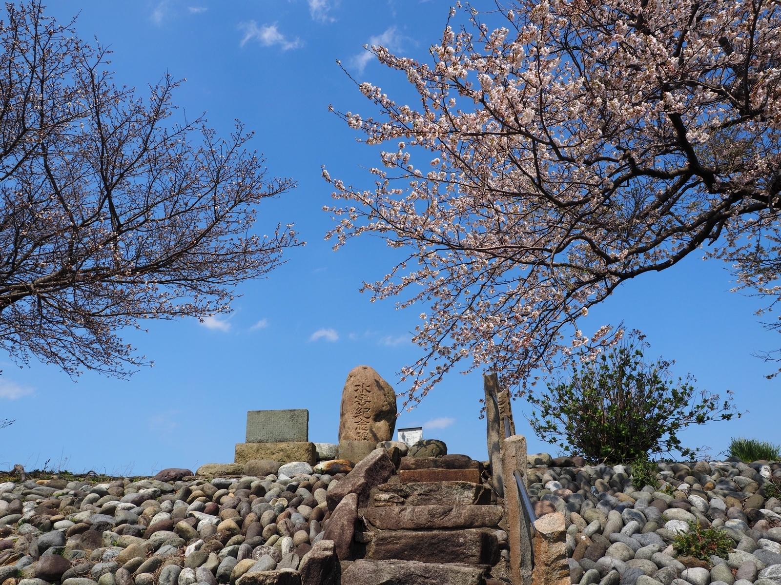 f:id:k10no3:20200404123328j:plain