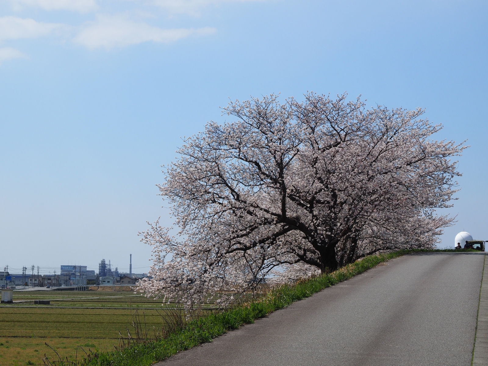 f:id:k10no3:20200404123343j:plain