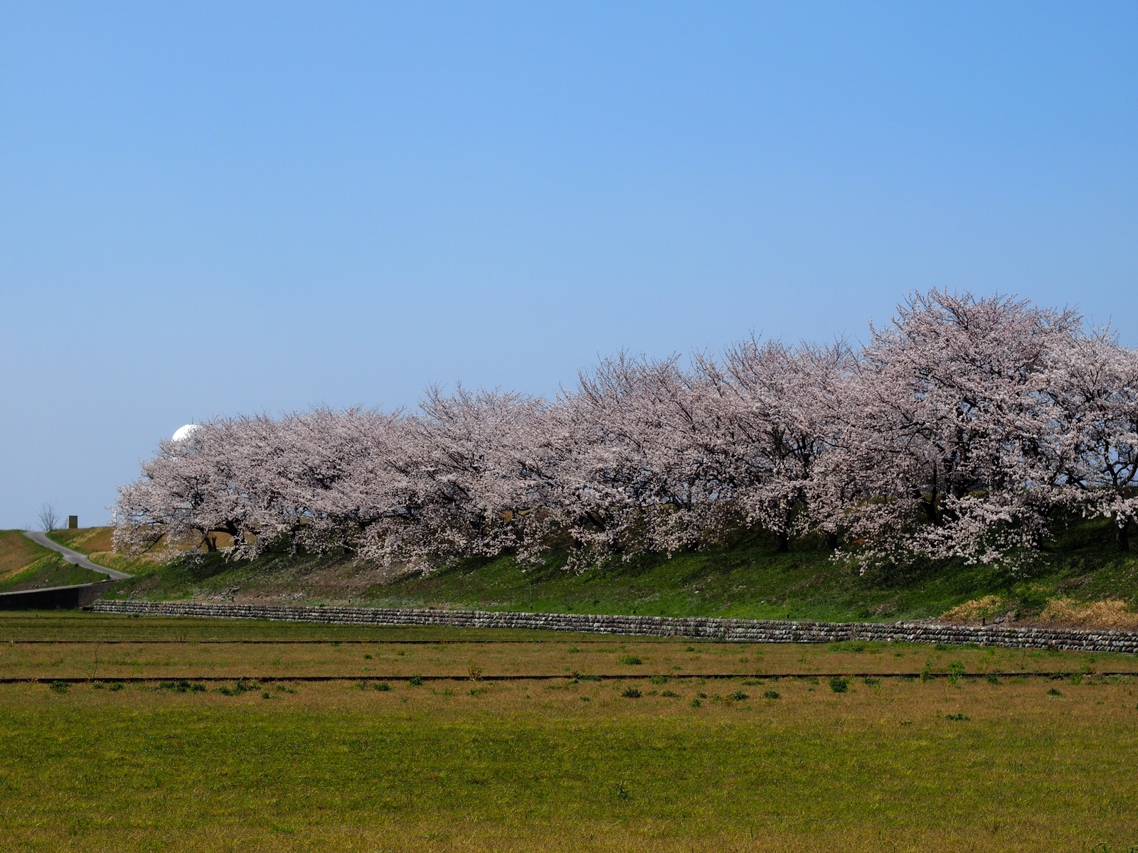 f:id:k10no3:20200404123503j:plain