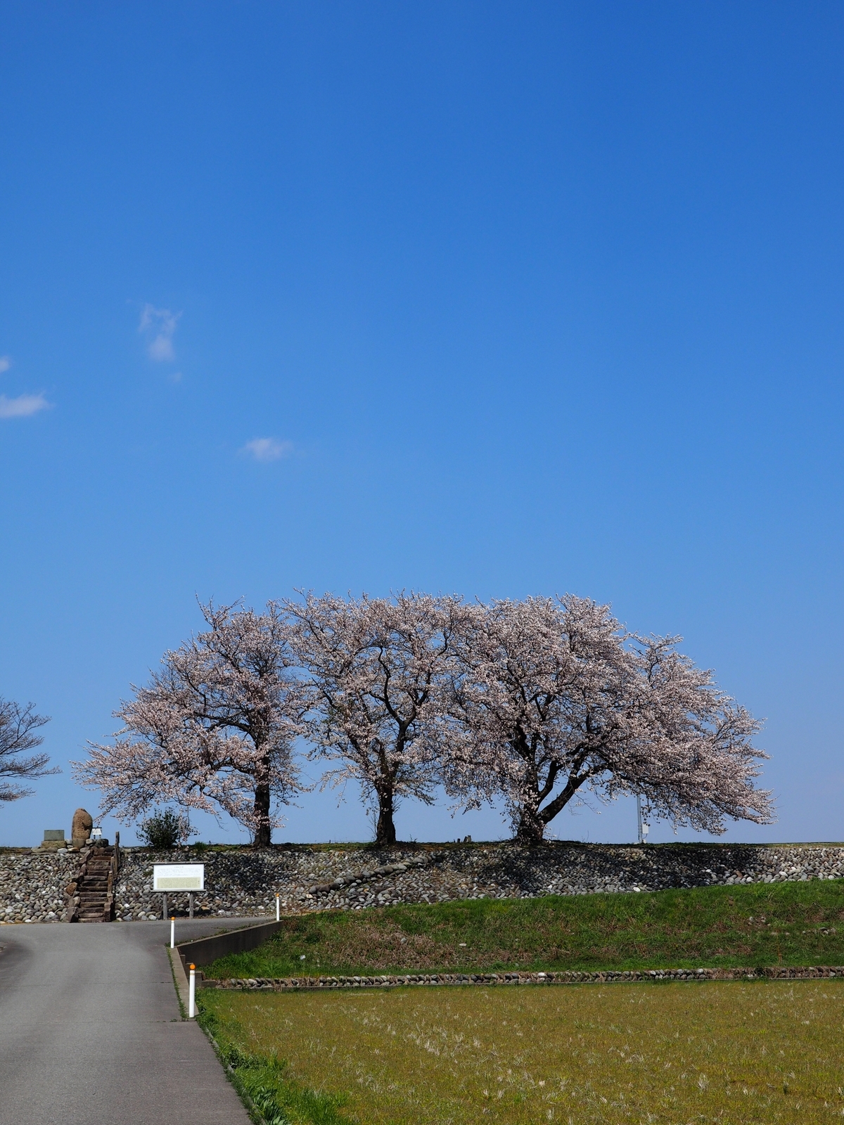 f:id:k10no3:20200404123527j:plain