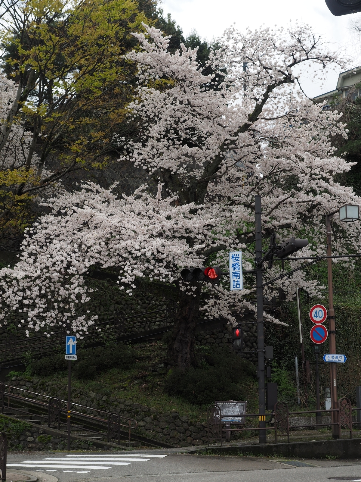 f:id:k10no3:20200405101021j:plain