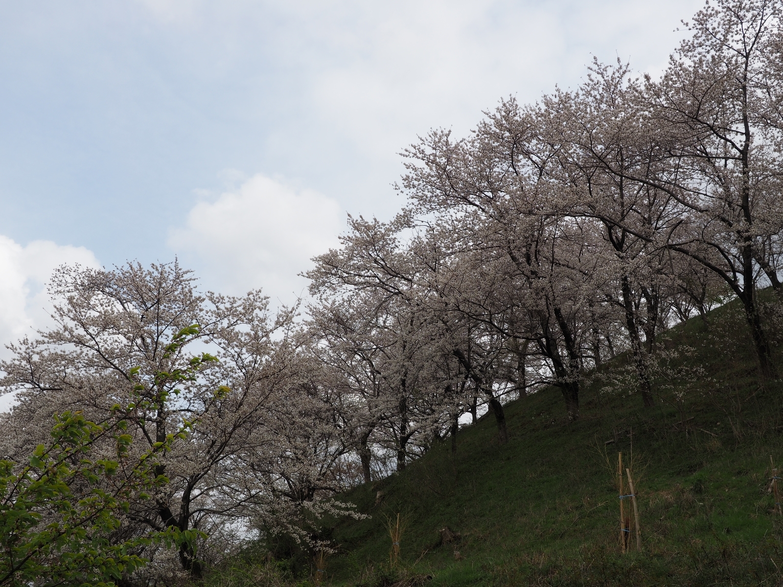 f:id:k10no3:20200405122155j:plain