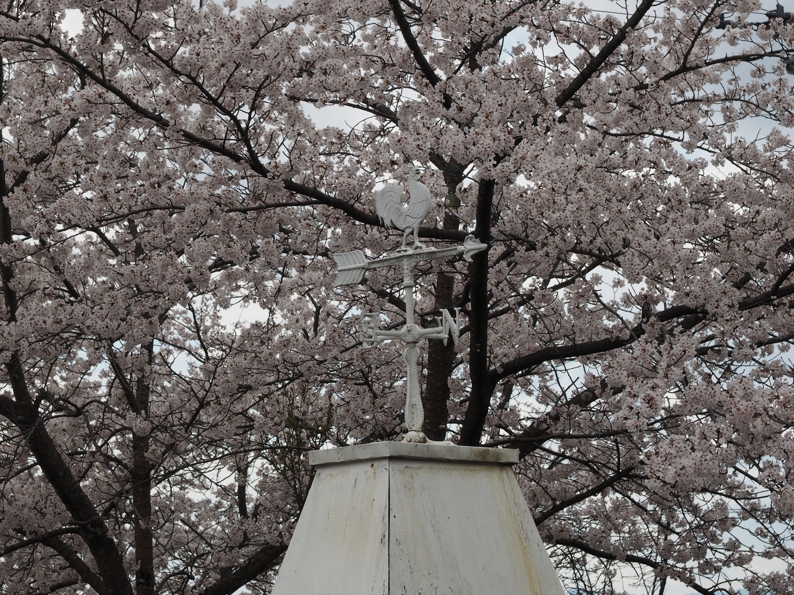 f:id:k10no3:20200411113839j:plain