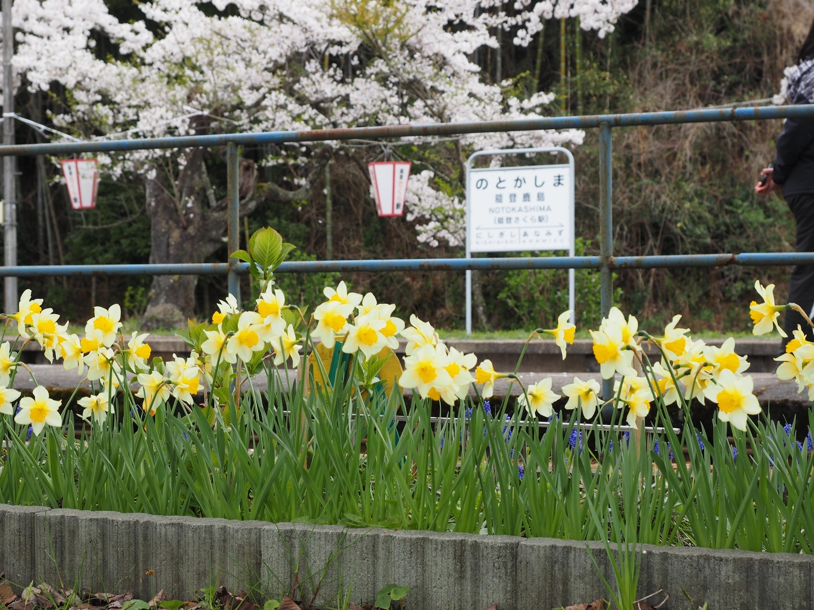 f:id:k10no3:20200411114107j:plain