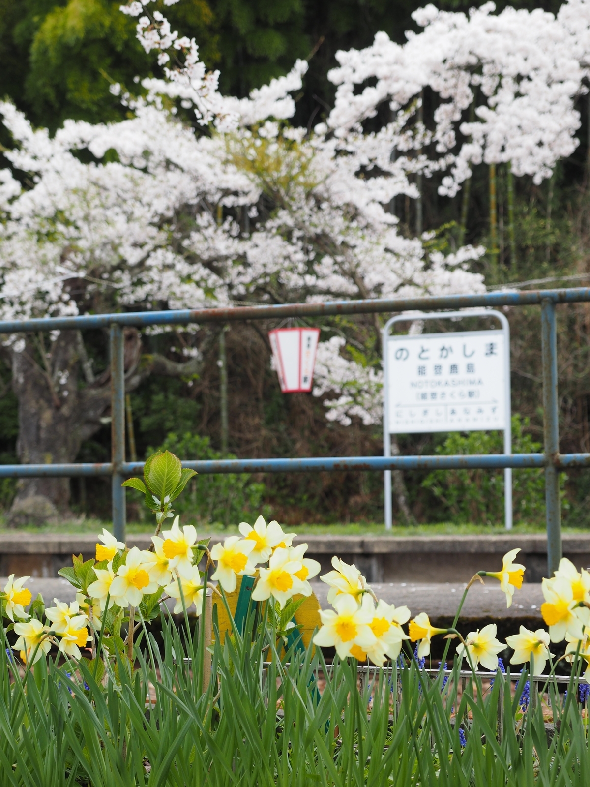 f:id:k10no3:20200411114113j:plain