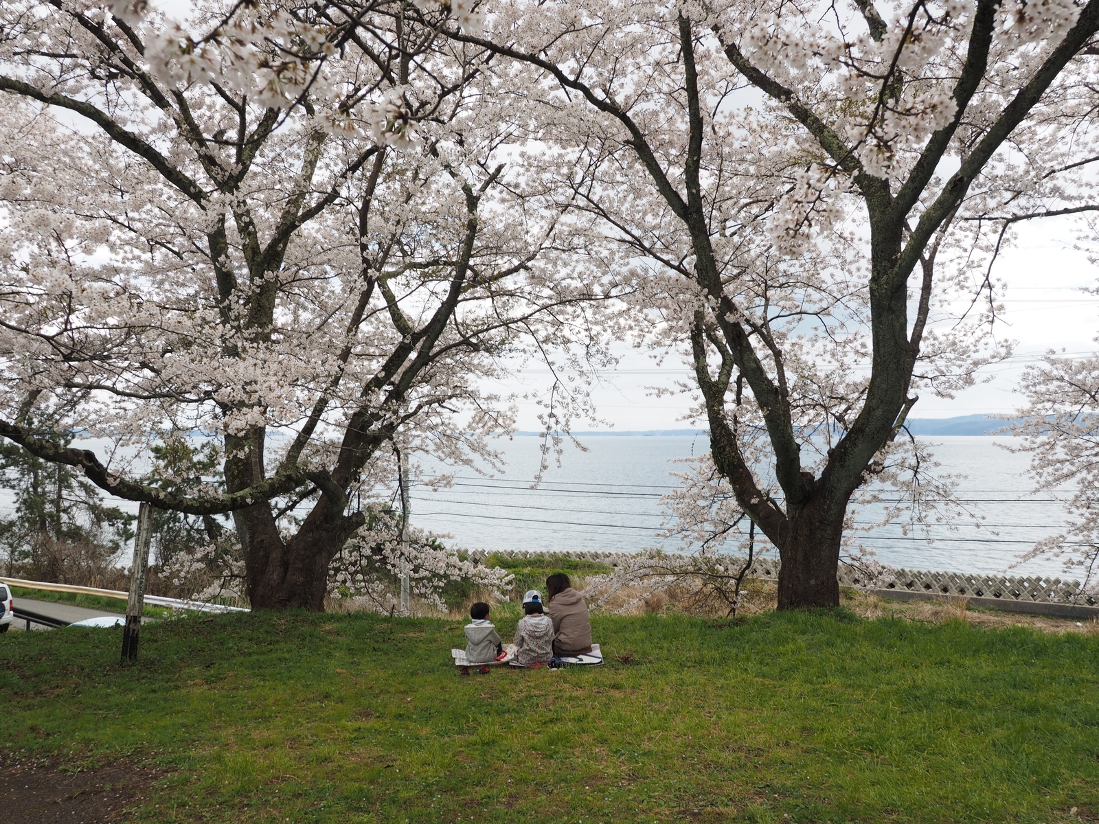 f:id:k10no3:20200411114336j:plain