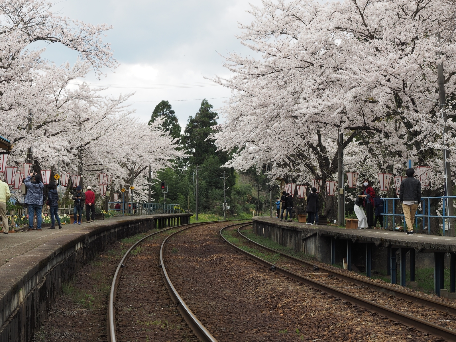 f:id:k10no3:20200411114526j:plain