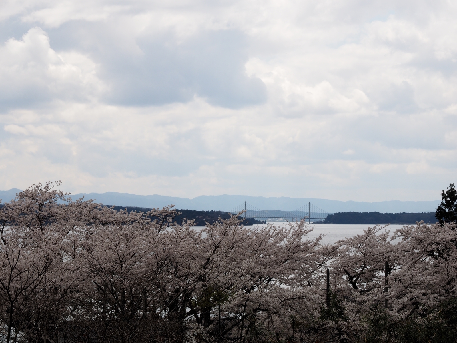 f:id:k10no3:20200411114724j:plain