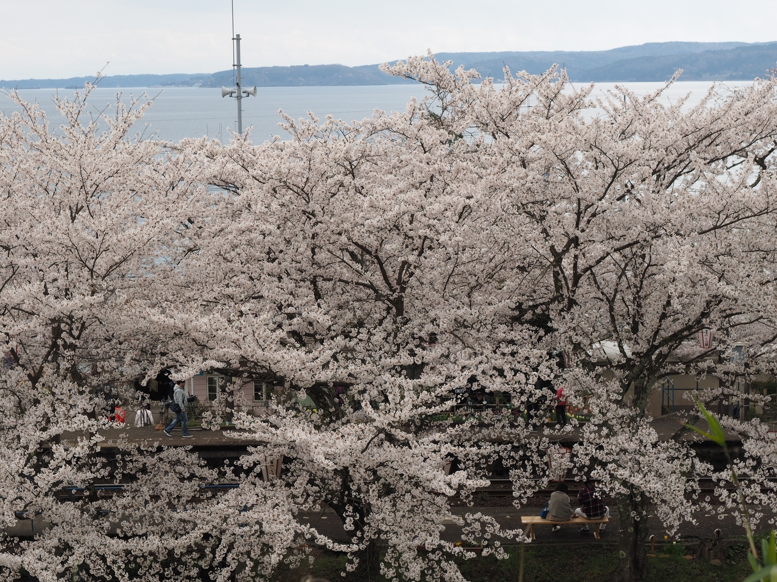 f:id:k10no3:20200411114847j:plain