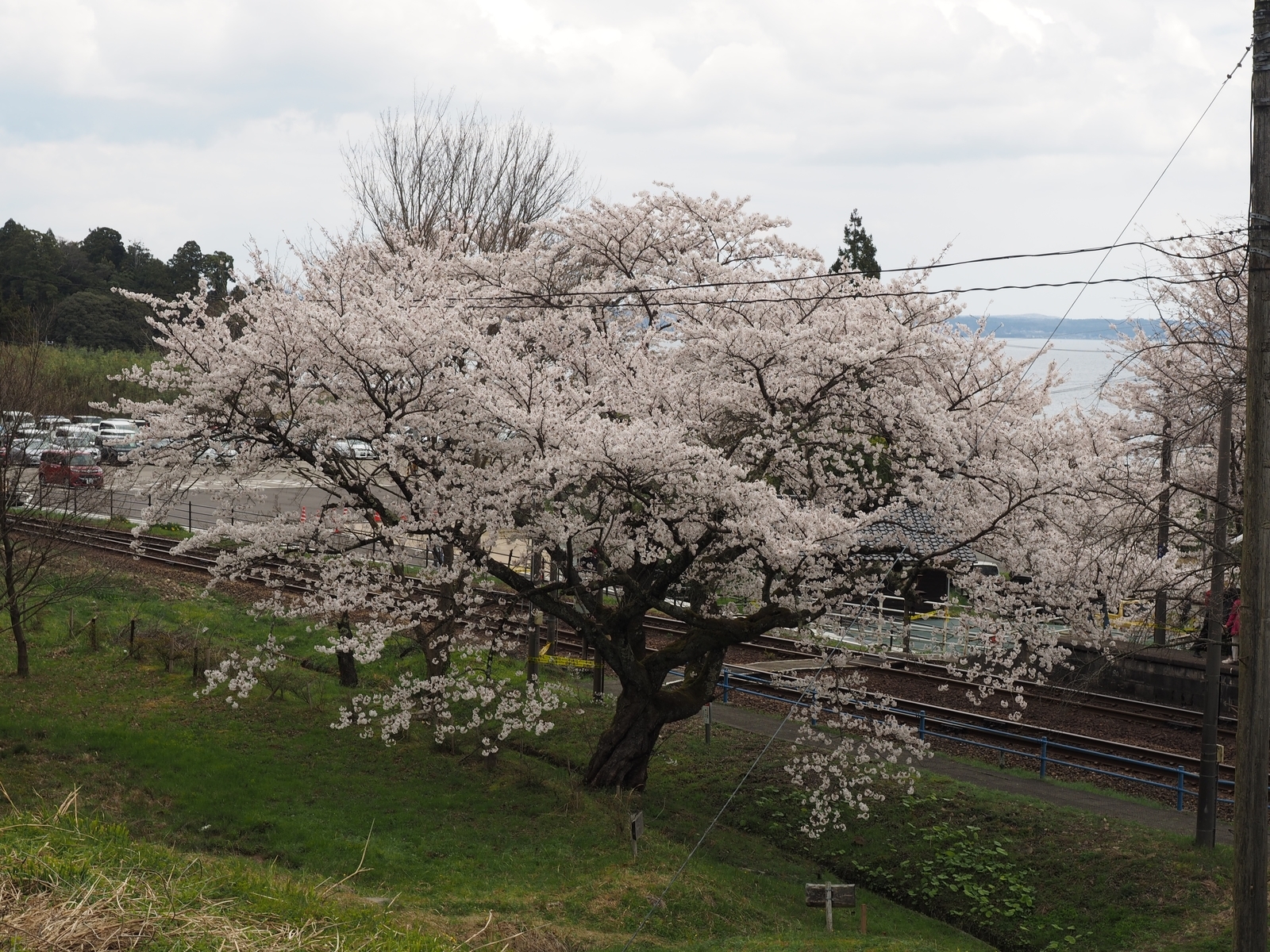 f:id:k10no3:20200411115011j:plain