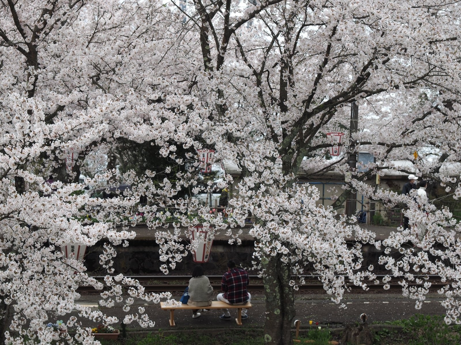 f:id:k10no3:20200411115024j:plain