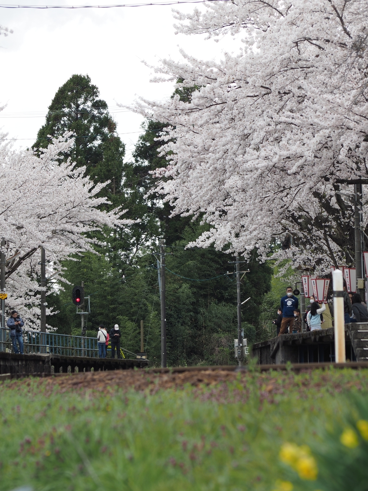 f:id:k10no3:20200411120107j:plain