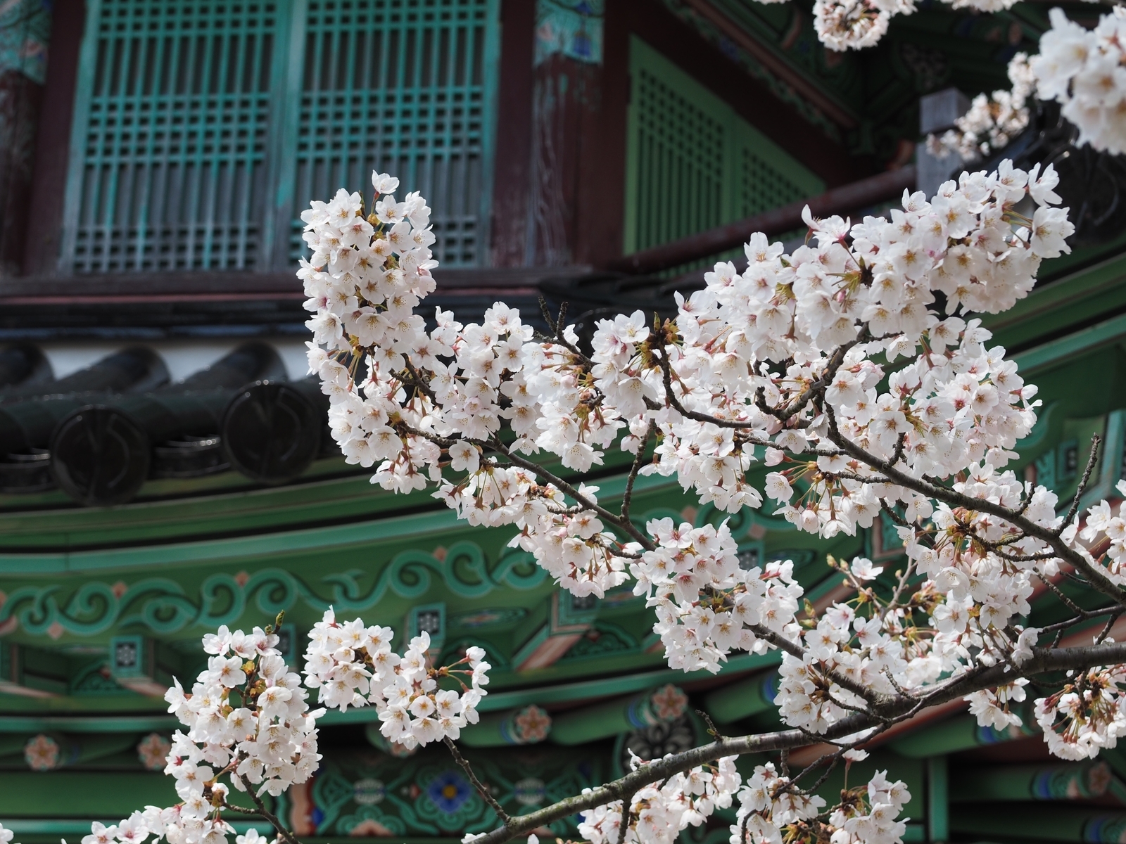 f:id:k10no3:20200411130200j:plain