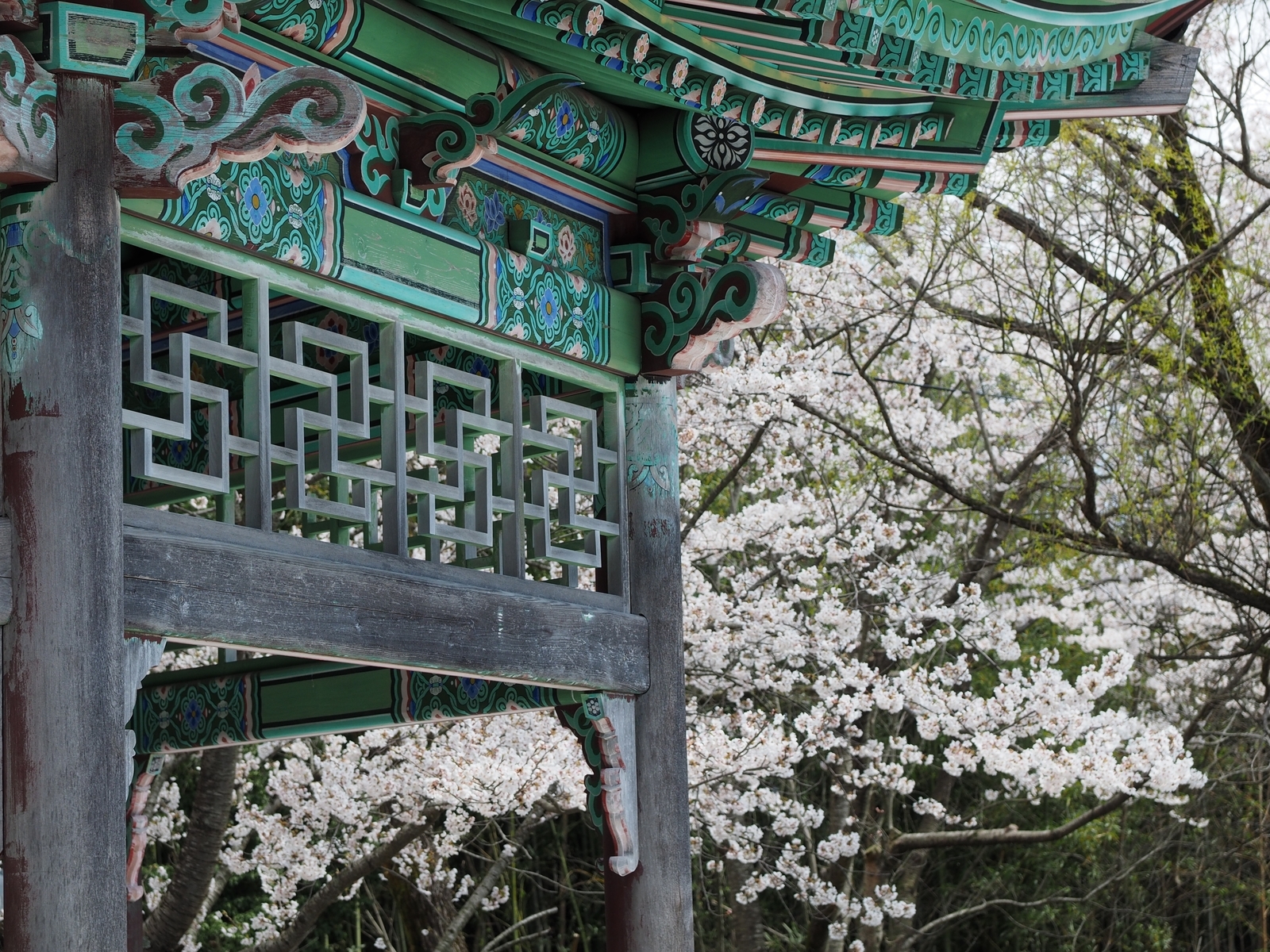 f:id:k10no3:20200411130624j:plain