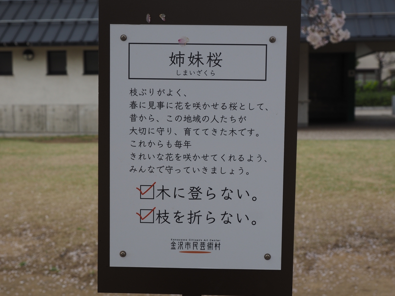 f:id:k10no3:20200411150512j:plain f:id:k10no3:20200411150512j:plain
