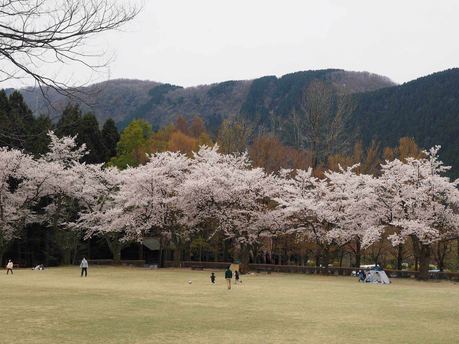 f:id:k10no3:20200412111839j:plain