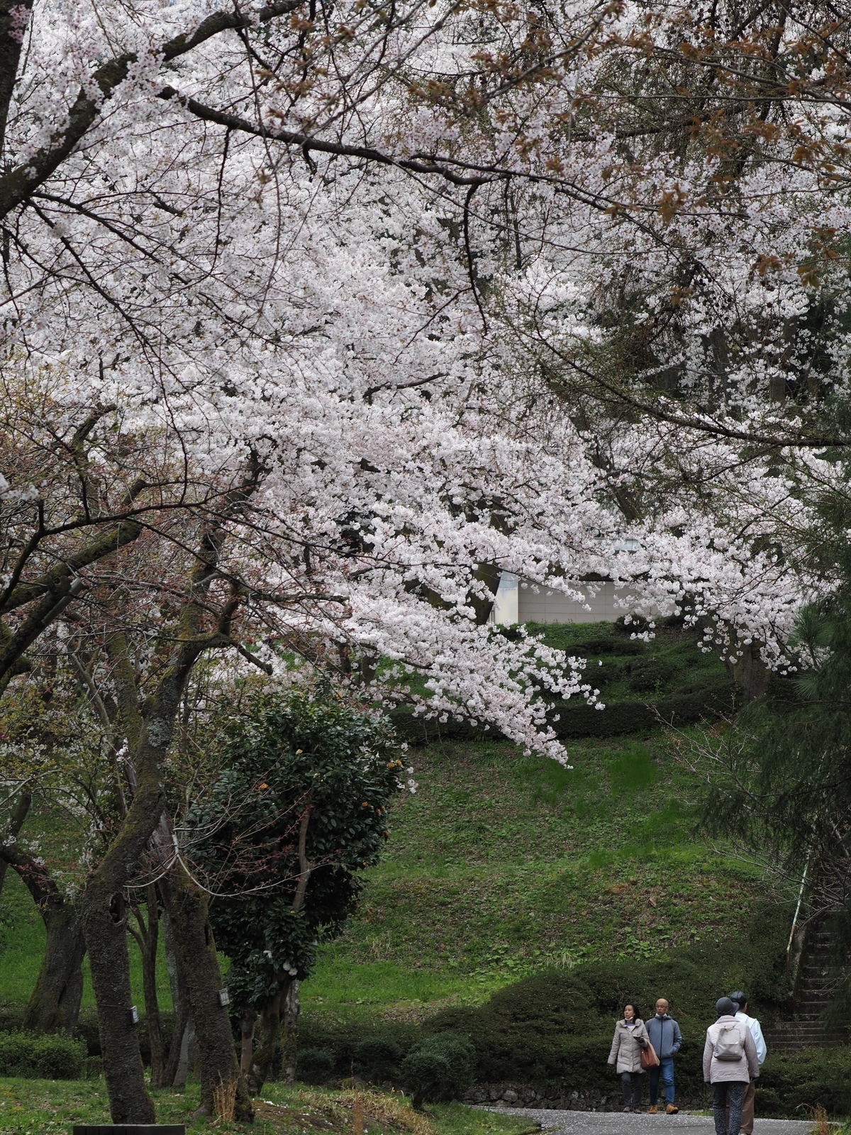 f:id:k10no3:20200412112613j:plain