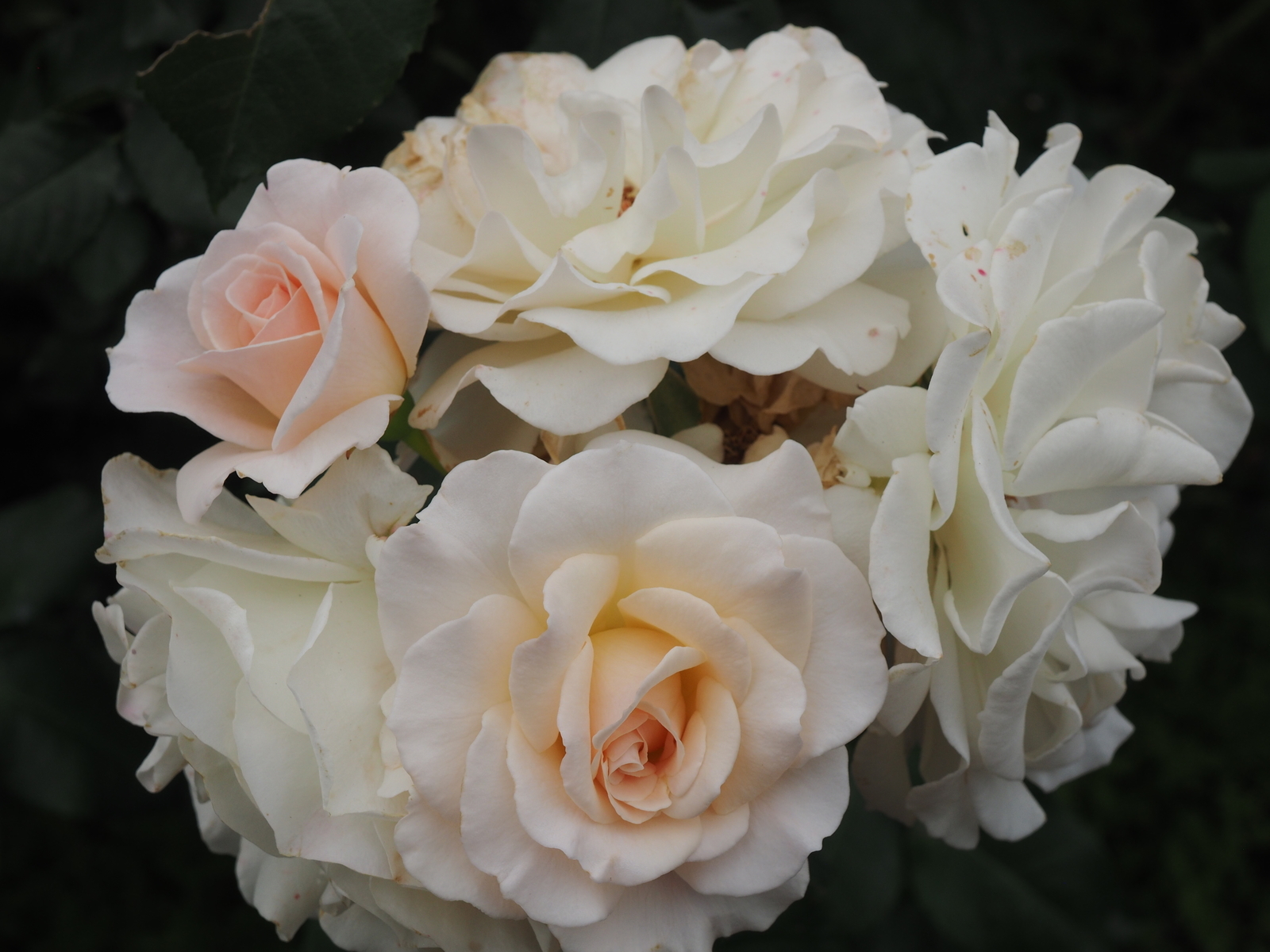 f:id:k10no3:20200606075403j:plain