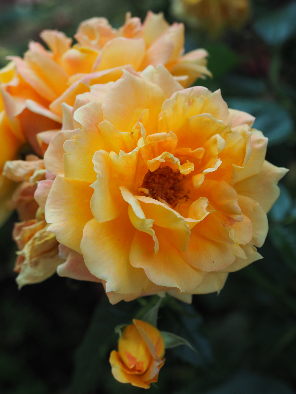 f:id:k10no3:20200606080100j:plain