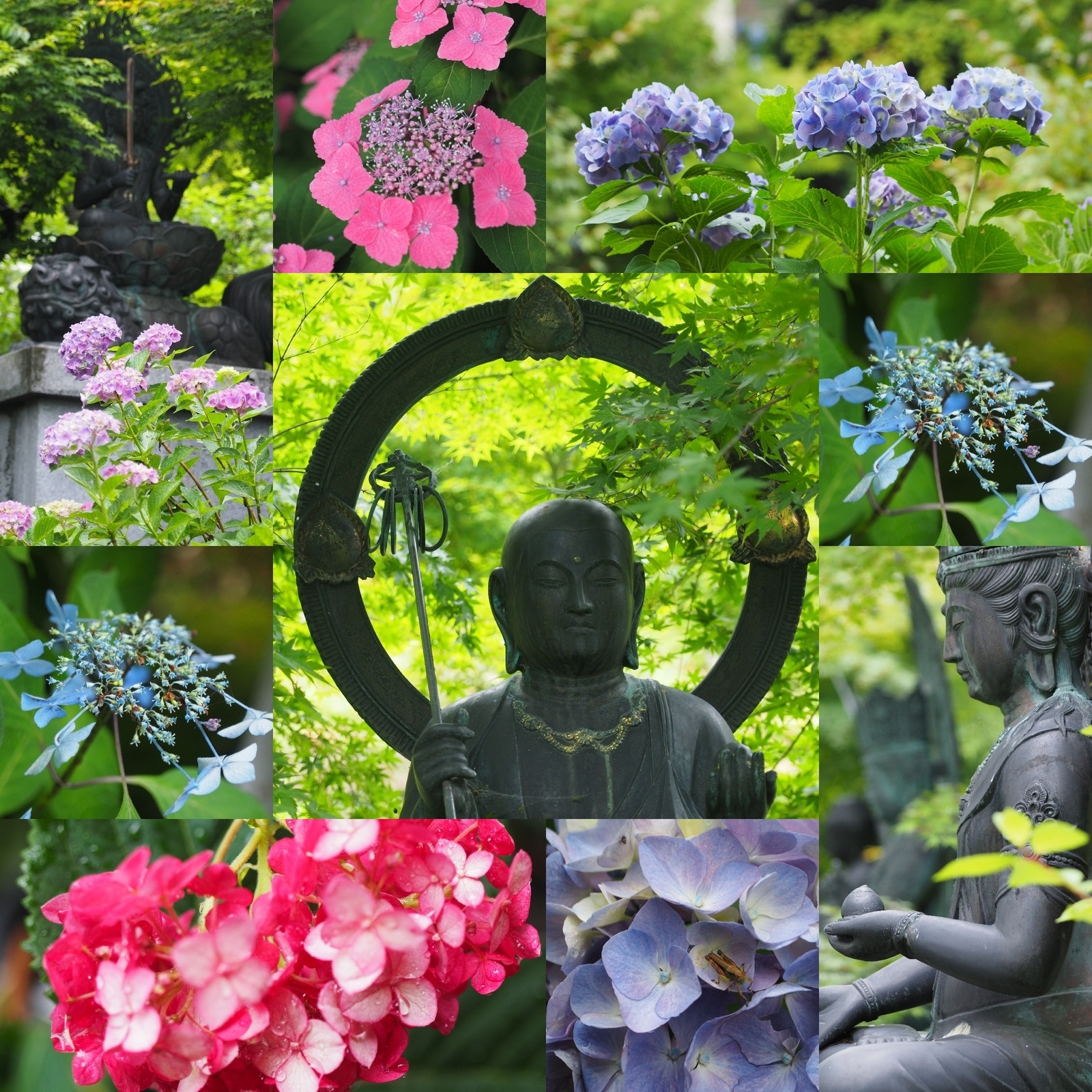 f:id:k10no3:20200626091642j:plain