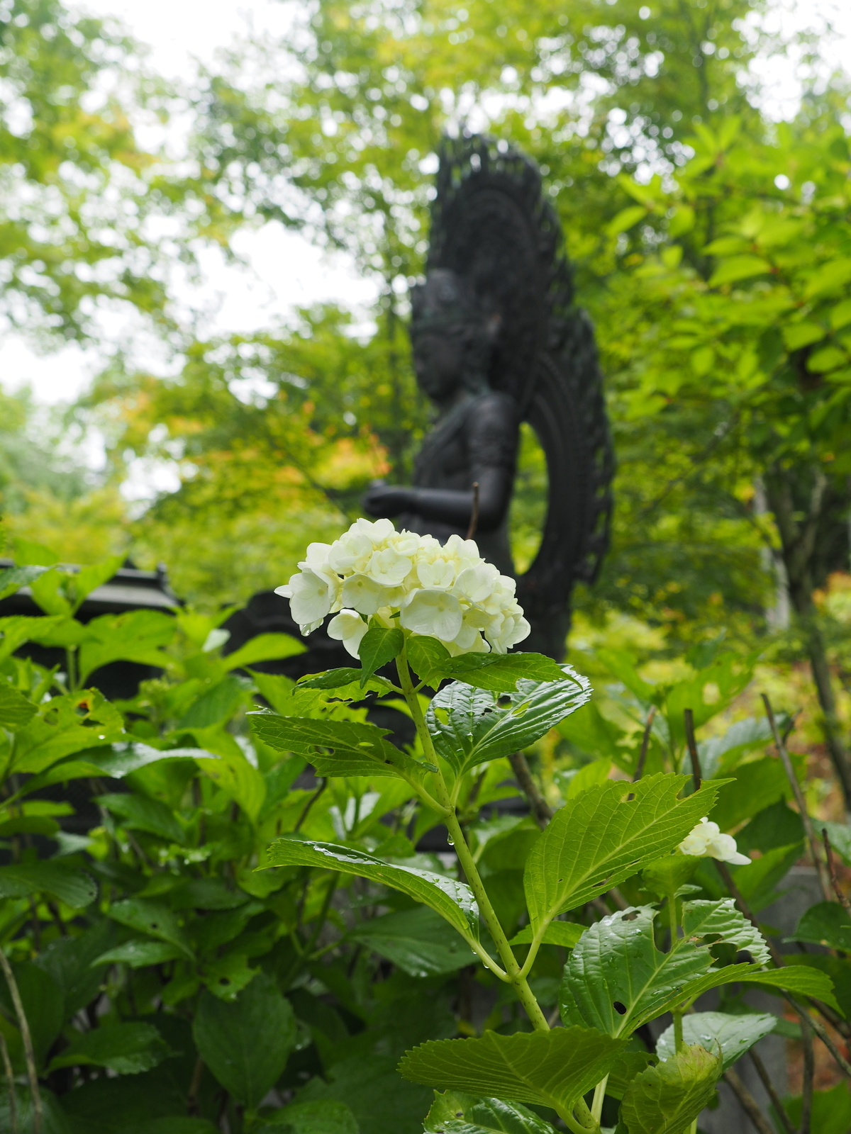 f:id:k10no3:20200626093731j:plain