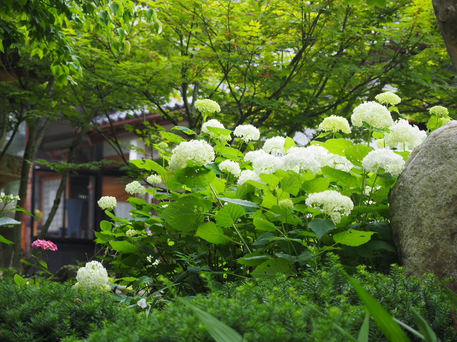 f:id:k10no3:20200626101201j:plain