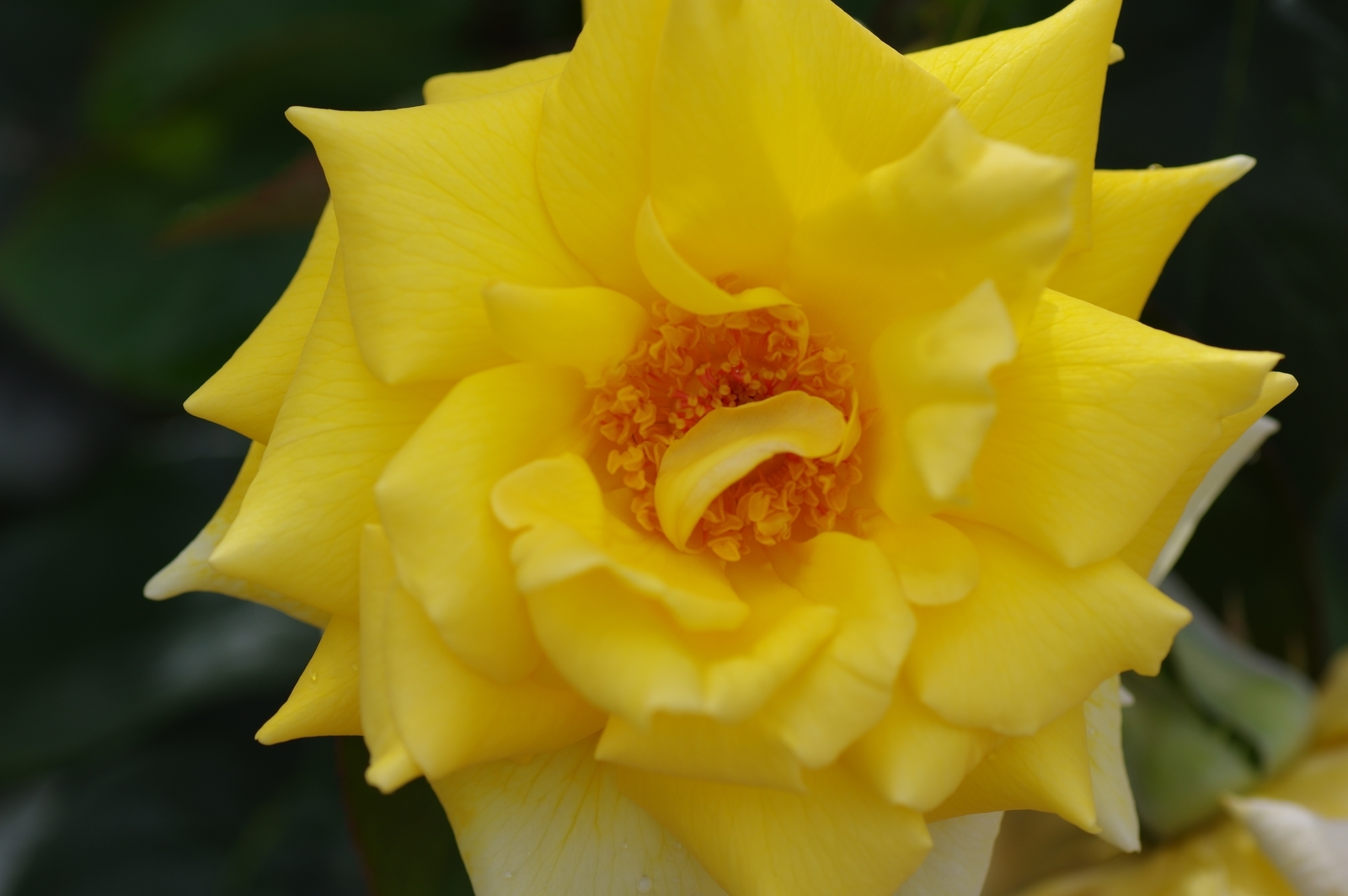 f:id:k10no3:20200726082115j:plain