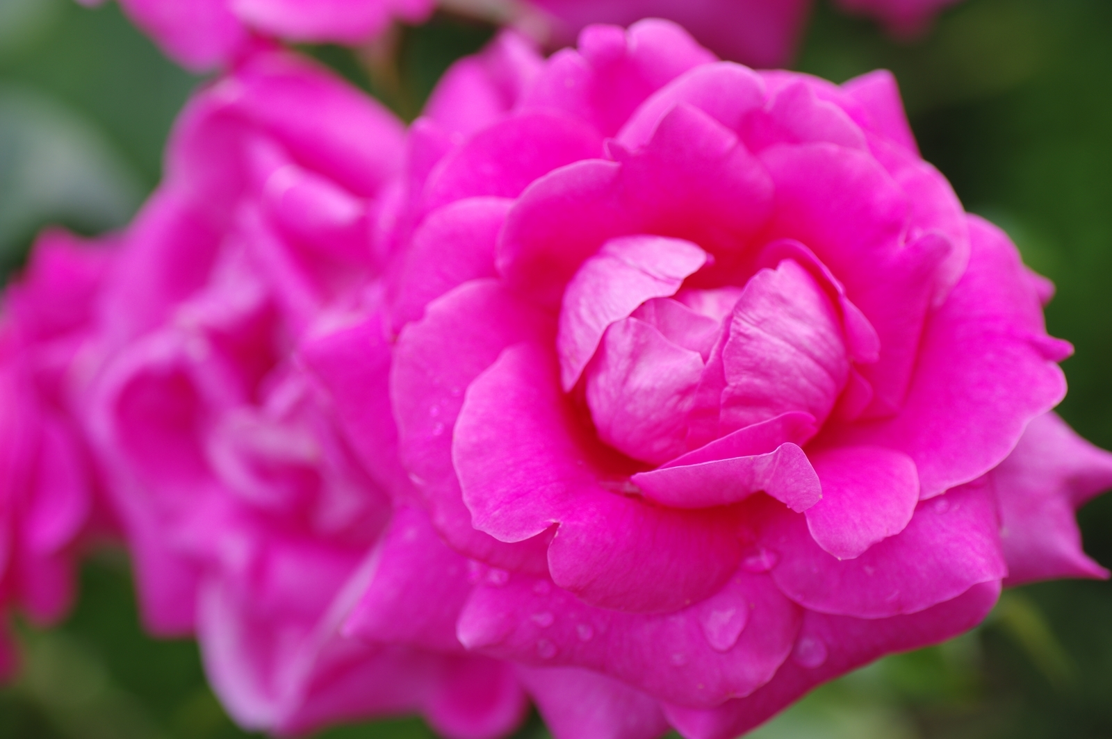 f:id:k10no3:20200726082139j:plain