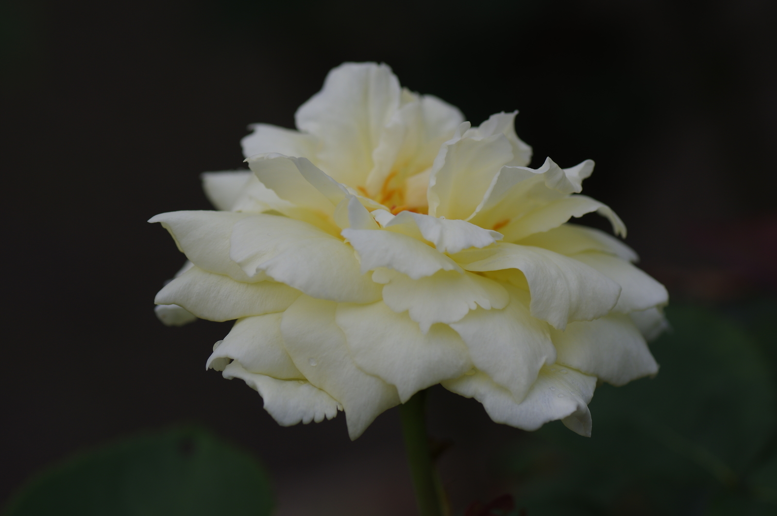 f:id:k10no3:20200726082329j:plain