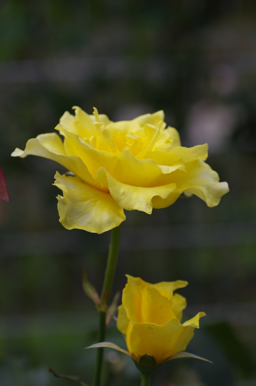 f:id:k10no3:20200726084630j:plain