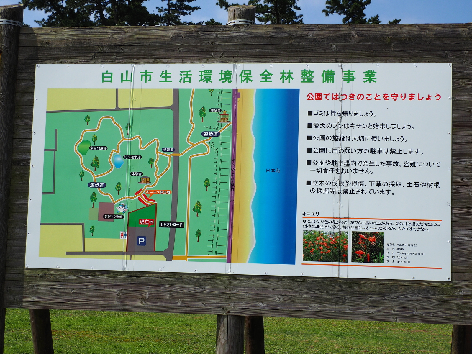 f:id:k10no3:20200801090506j:plain