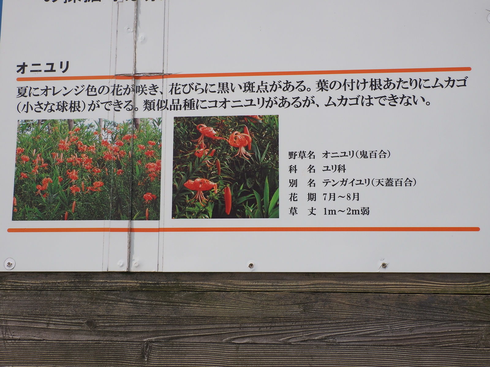 f:id:k10no3:20200801090522j:plain