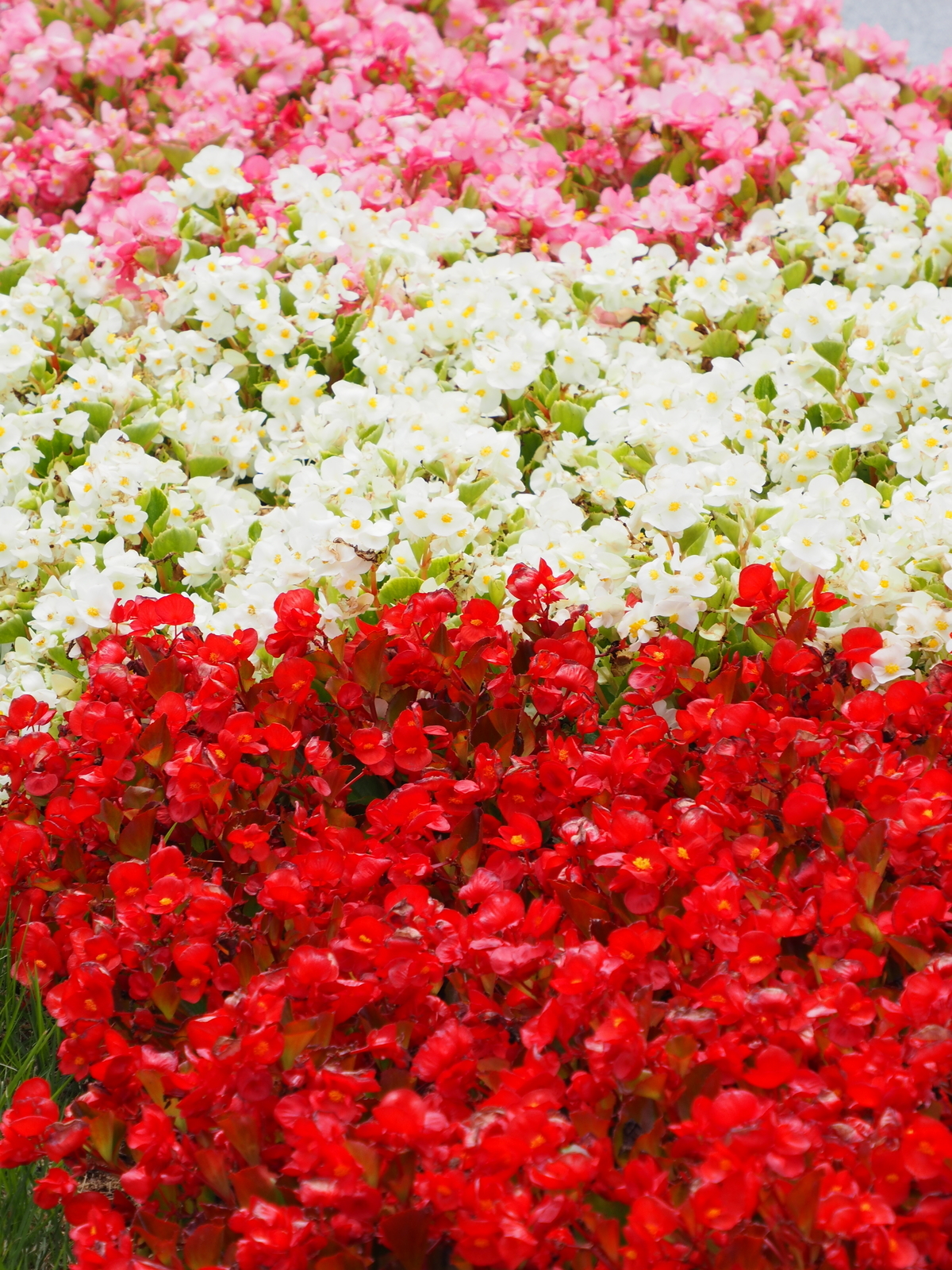 f:id:k10no3:20200802121929j:plain