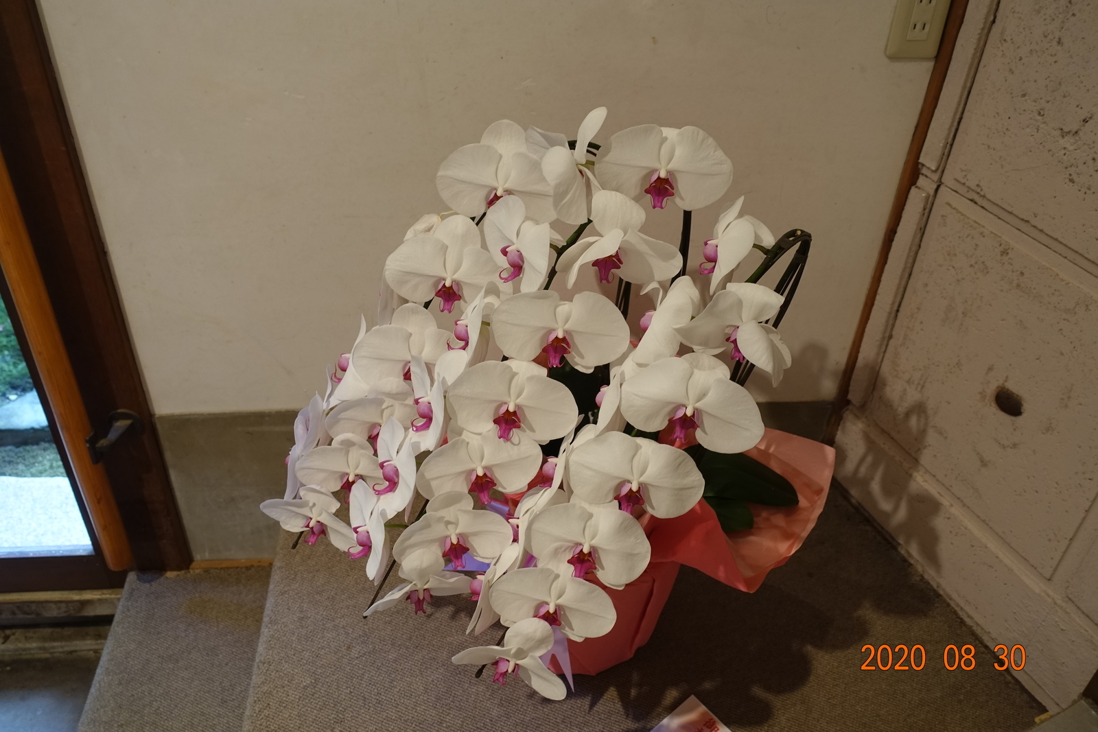 f:id:k10no3:20200830103929j:plain
