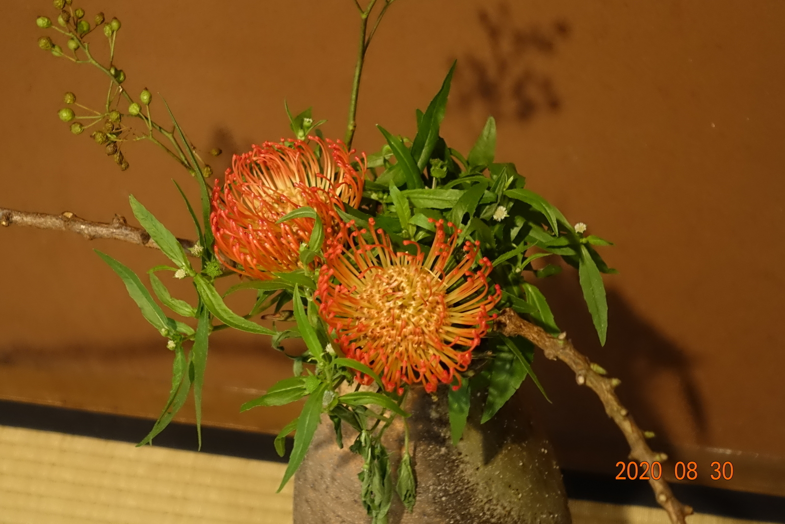 f:id:k10no3:20200830104447j:plain