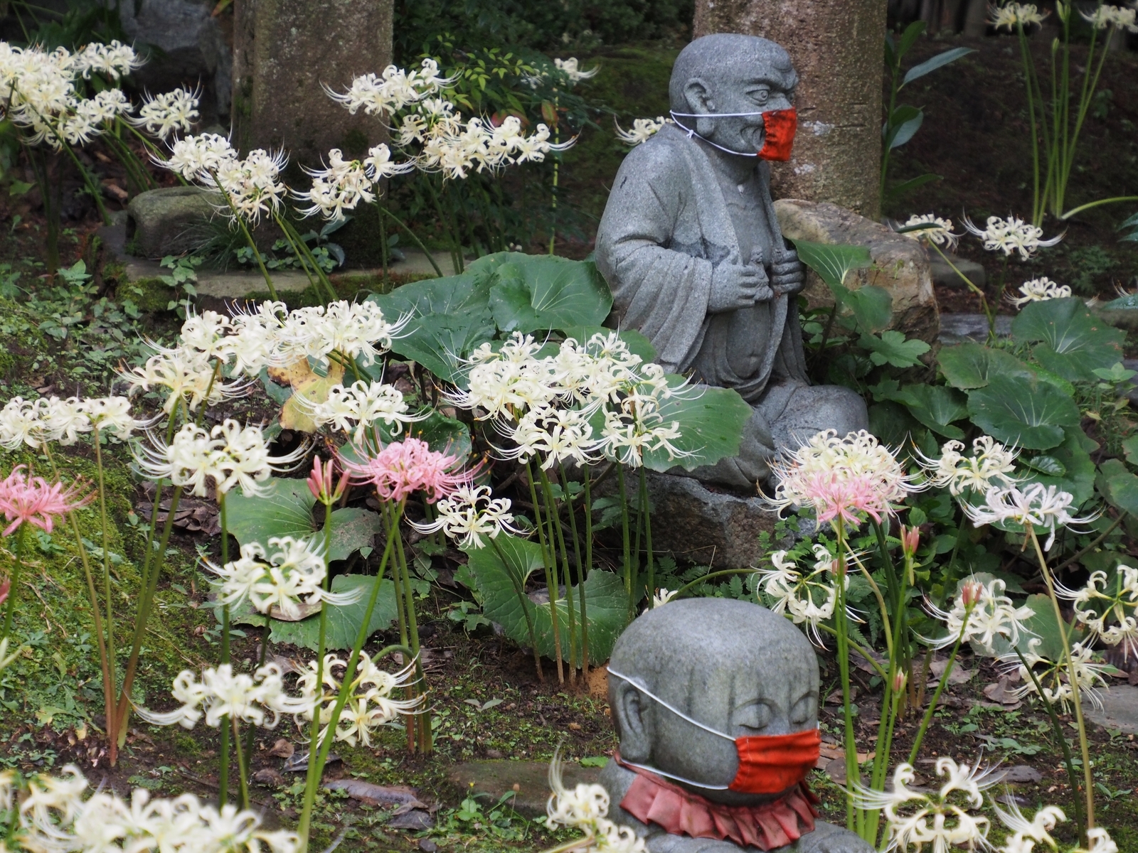 f:id:k10no3:20200926104045j:plain